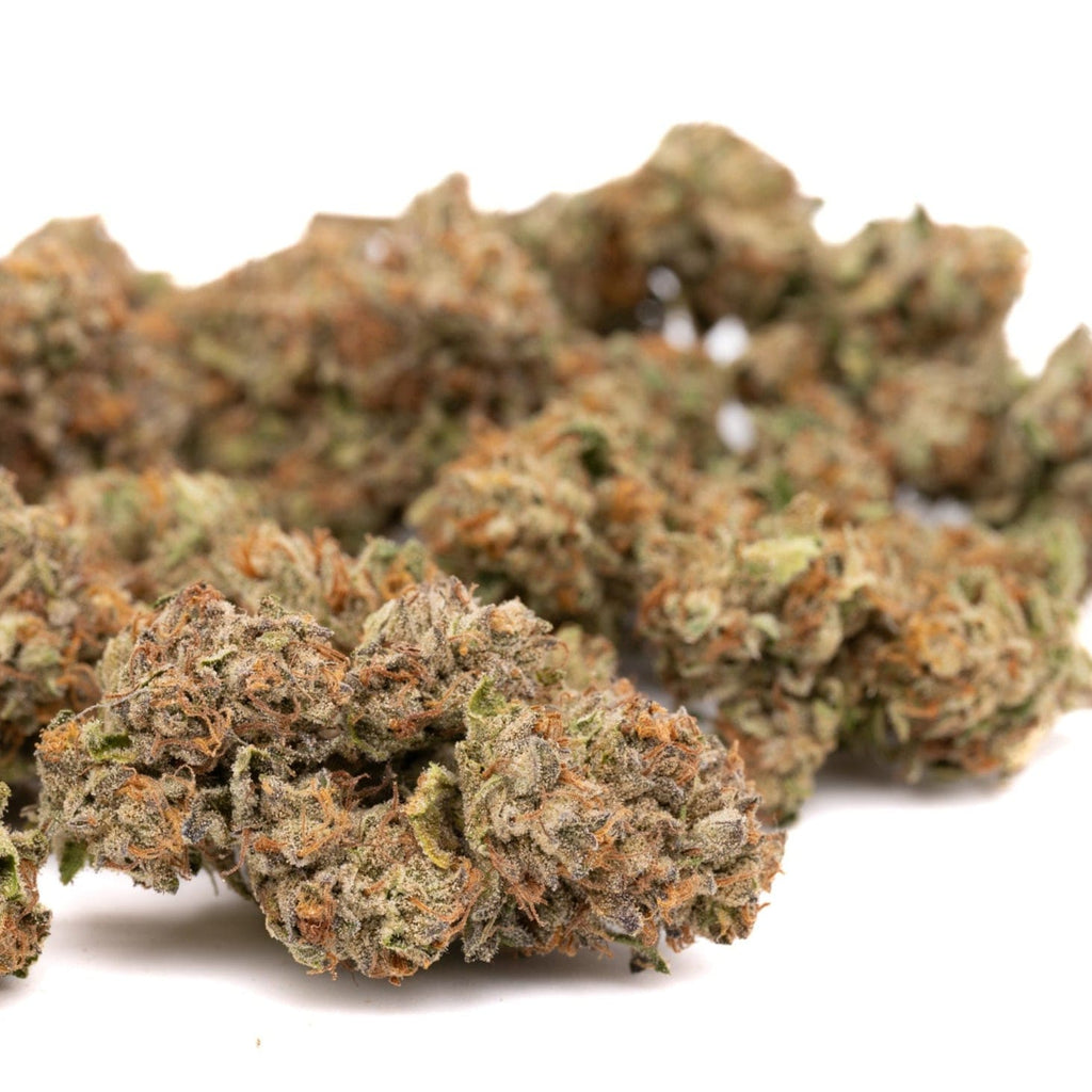 Lemon Cherry Gelato Indoor THCa Flower - Plants