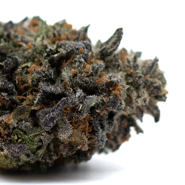 Dense Lemon OG Indoor THCa Flower bud with rich purple hues and vibrant colors
