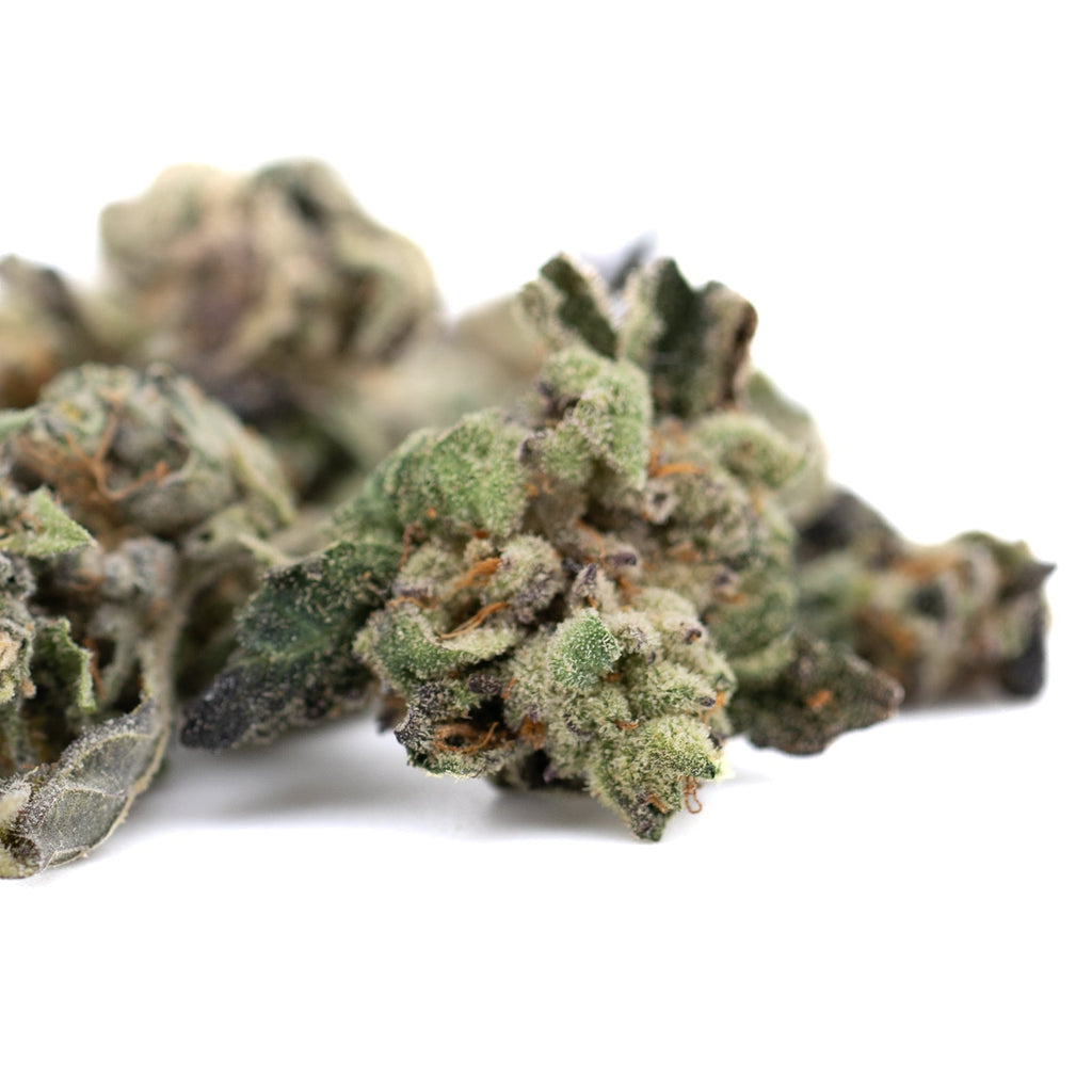 Green and gray cannabis buds of Lemon OG Indoor THCa Flower Smalls for premium hemp flower