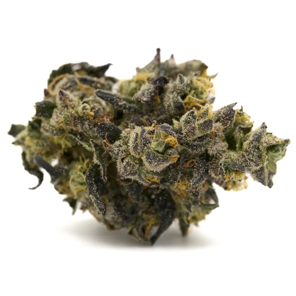 Dense purple THCA flower of Lung Buster Indoor Hemp Flower for wholesale sale