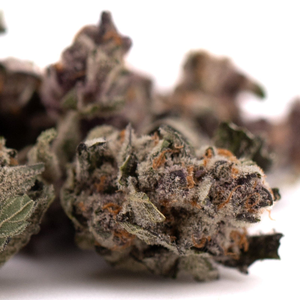 Dense trichome-covered Mac And Gary Indoor THCA Flower Smalls with high THCA content