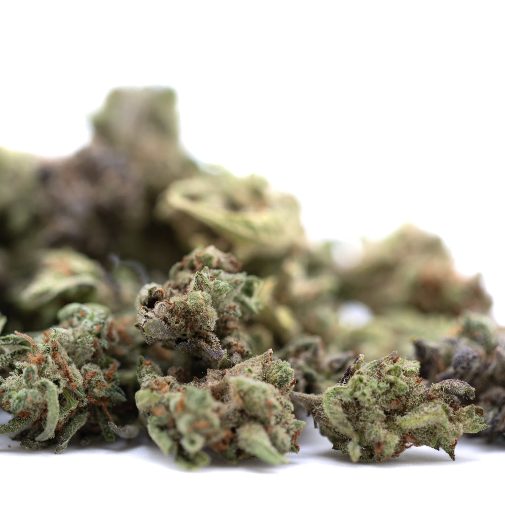 Mega Gummie Bearz THCa Flower Smalls with green purple buds and trichomes