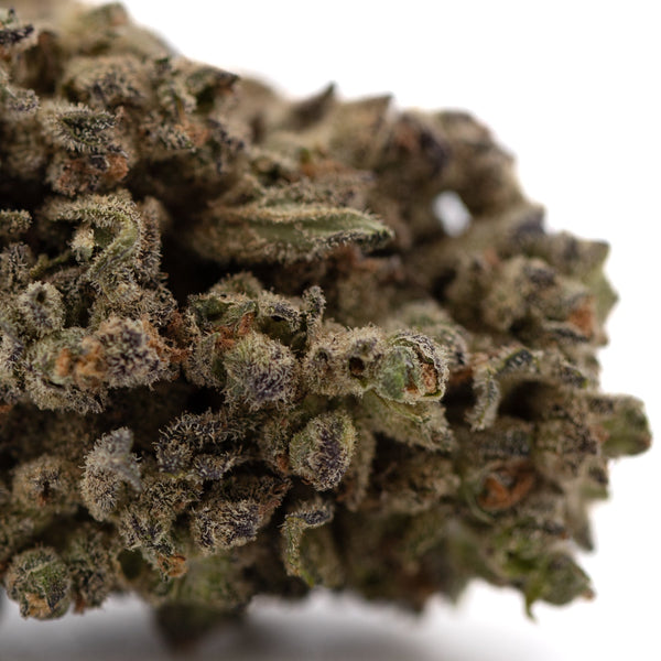 Premium Mendo Breath THCa Flower: Dense Trichomes, Vibrant Green