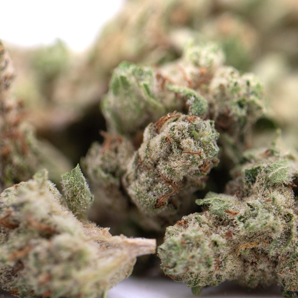 Premium Nectarine Jelly THCa Smalls hemp flower with dense trichomes