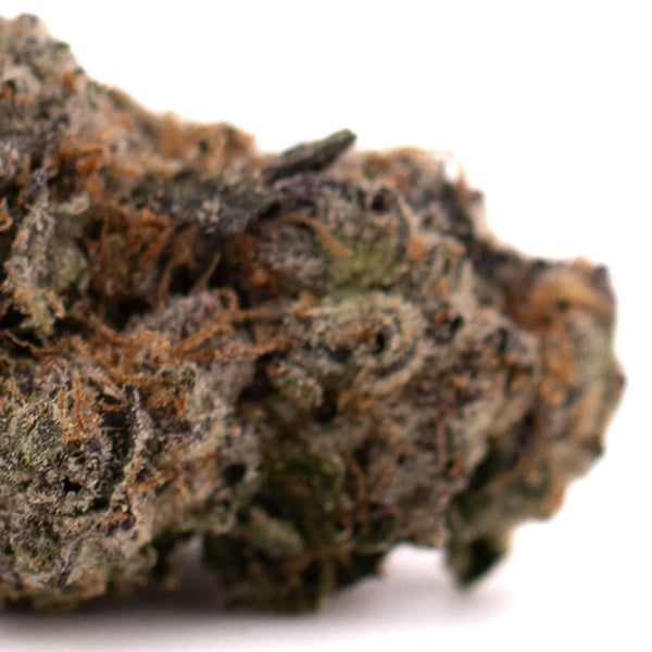 Dense Oregon Lemons THCA flower bud with trichomes showcasing premium hemp flower quality