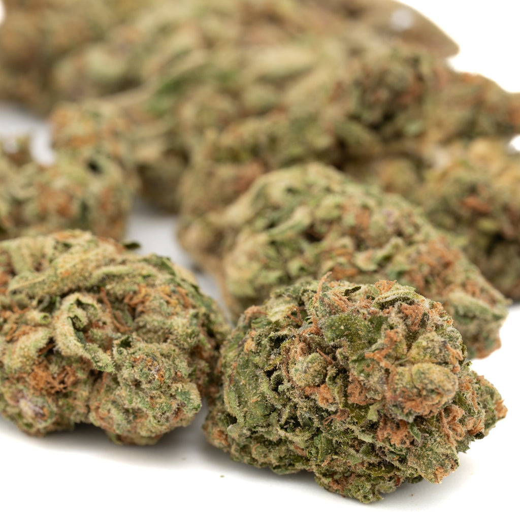 Point Break THCa Hemp Flower Greenhouse - Plants