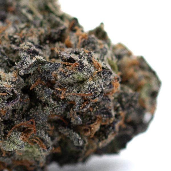 Dense cannabis bud from Poppin Bottlez Indoor THCa Flower showcasing premium hemp flower