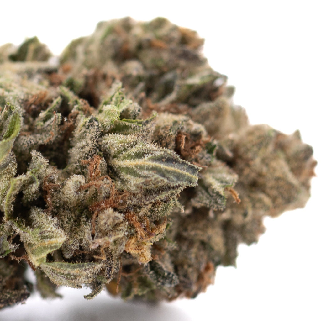 Premium Pure Michigan THCa hemp flower with dense trichomes and earthy tones