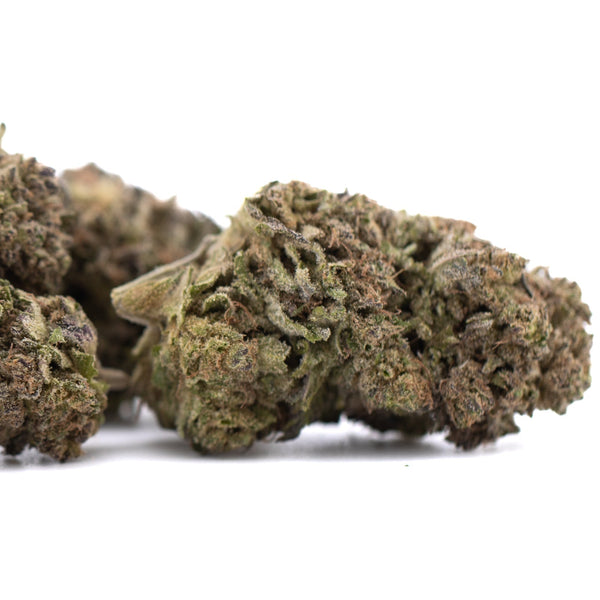 Premium purple marmalade hemp flower with dense trichomes and earthy aroma