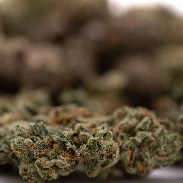 Dense Purple Wedding hemp flower THCA smalls with vibrant cannabis buds display