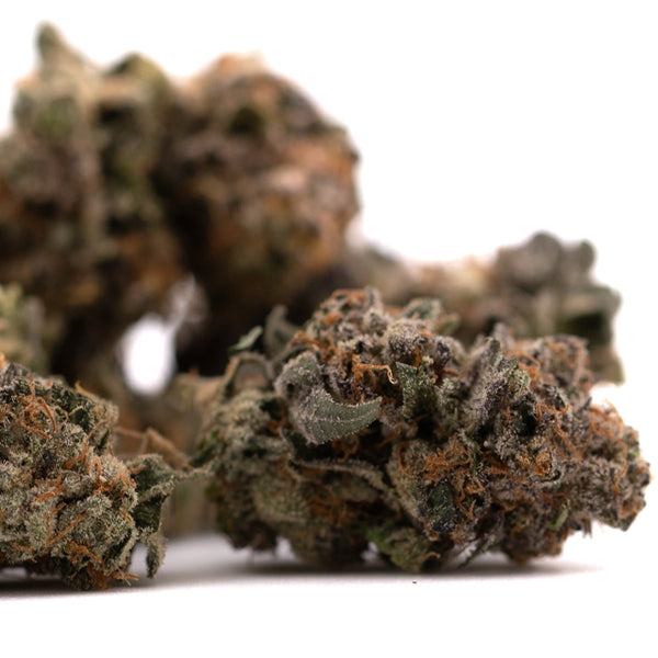 Cluster of Sour Runtz indoor THCA flower buds showcasing premium cannabis product