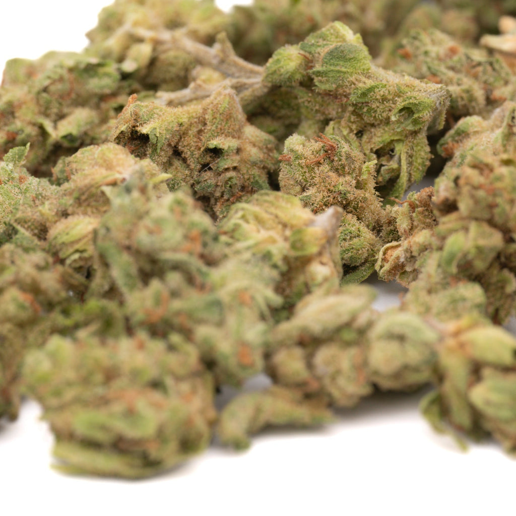 Star Krunch THCa Hemp Flower Smalls - Plants