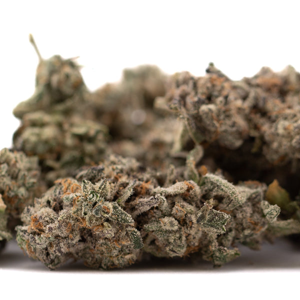 Street Tarts glittering purple THCa flower buds with trichomes