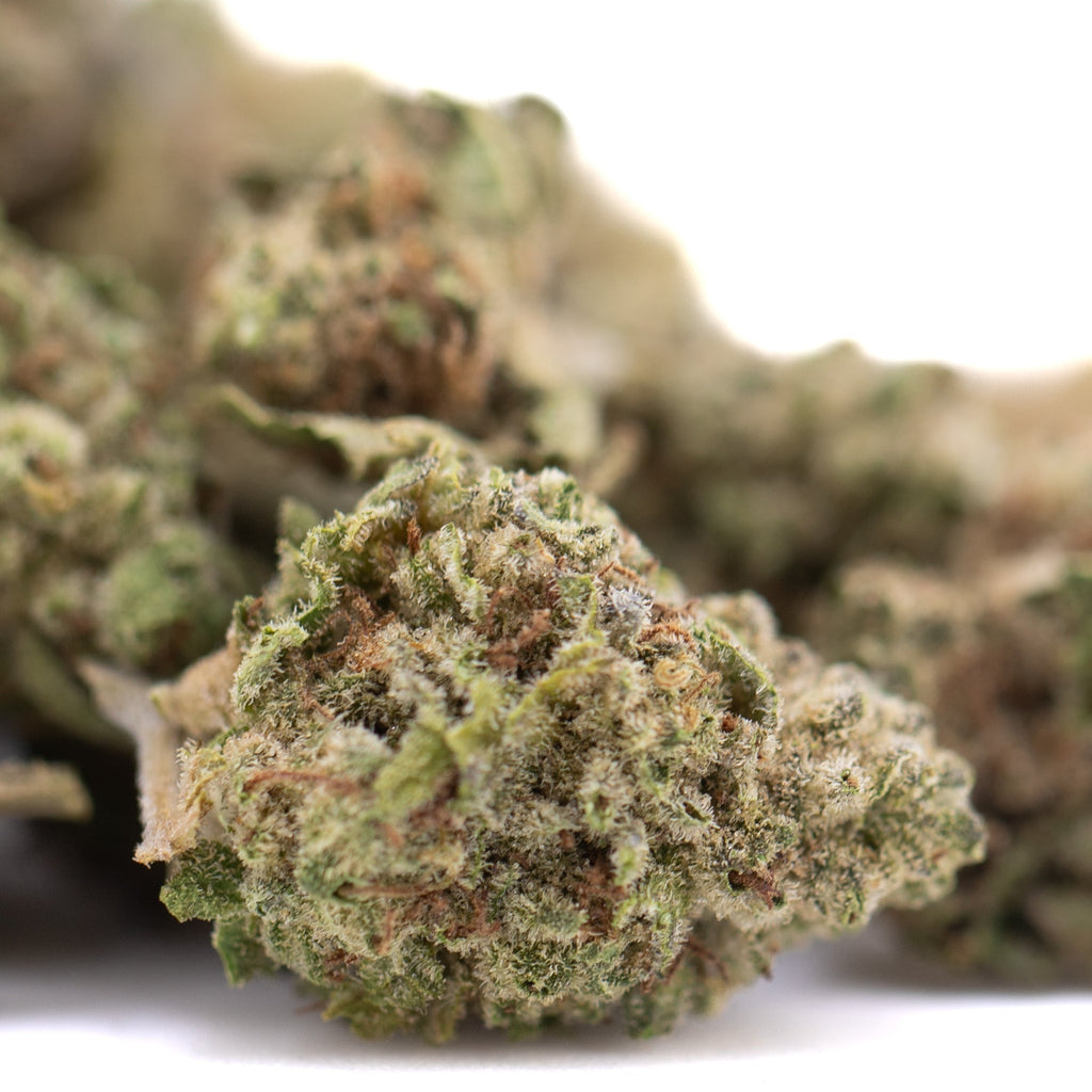 Premium Sugar THCa Greenhouse Smalls hemp flower bud with white trichomes