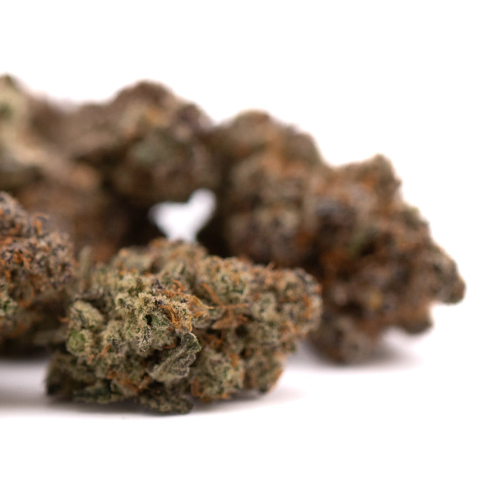 Super Runtz Indoor THCa Flower with vibrant orange hairs and orchard swirl synergy