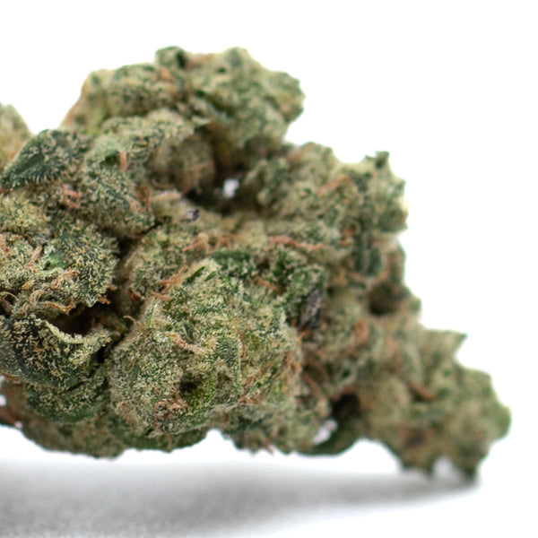 Dense cannabis bud with trichomes in Teflon Indoor THCa Flower product